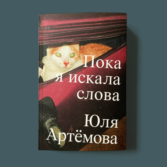 Юля Артёмова «Пока я искала слова» — обложка