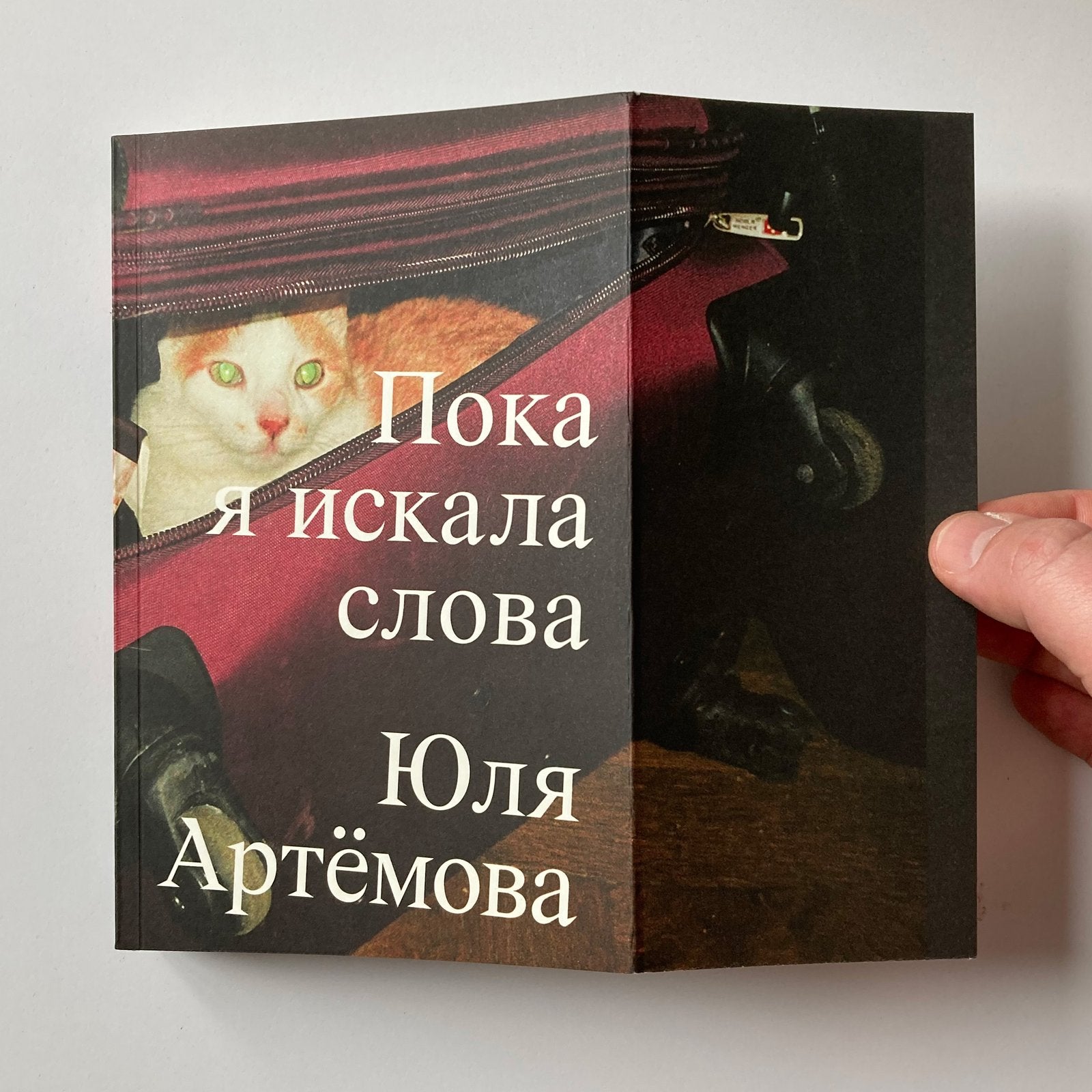«Пока я искала слова» — фото издания