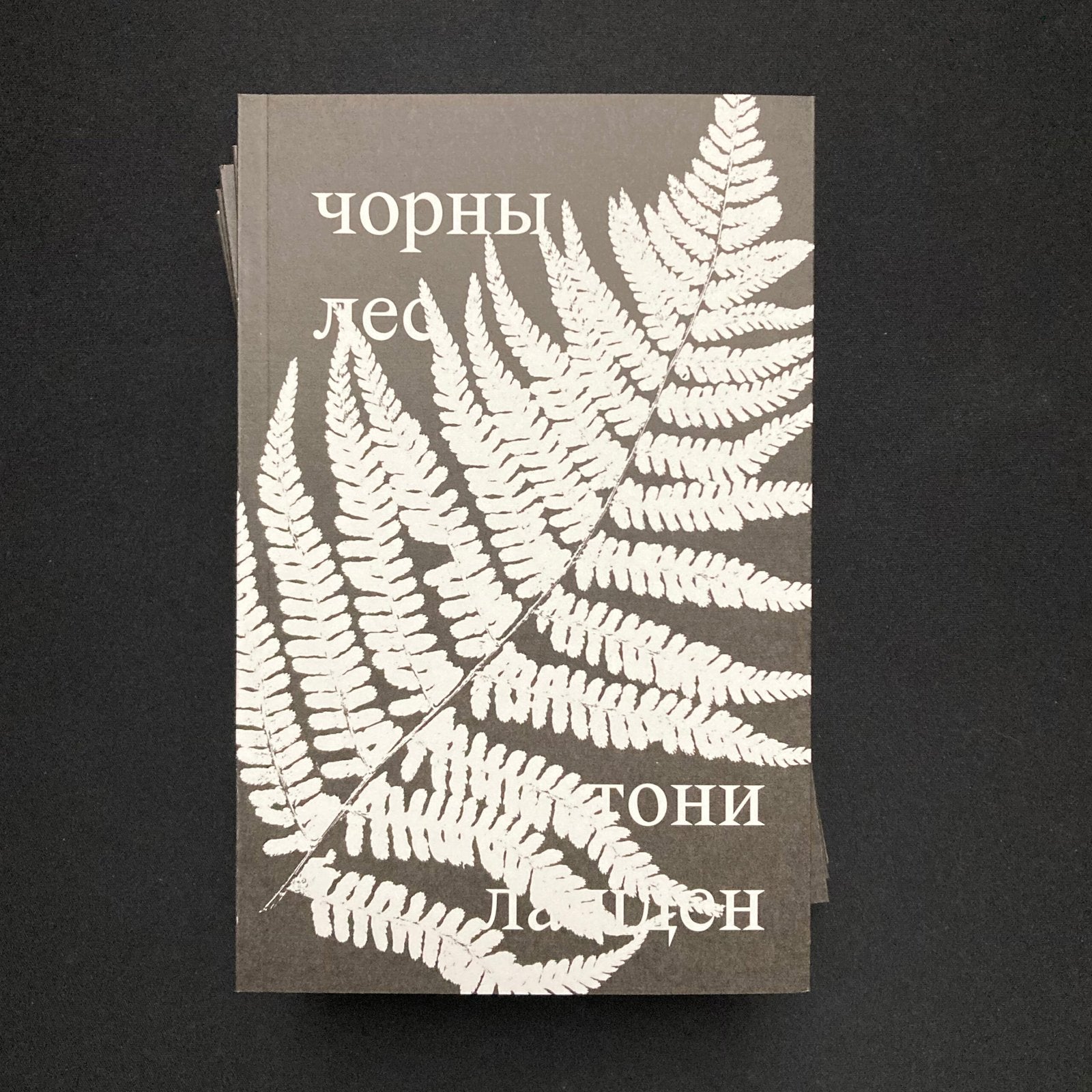 чорны лес — тони лашден