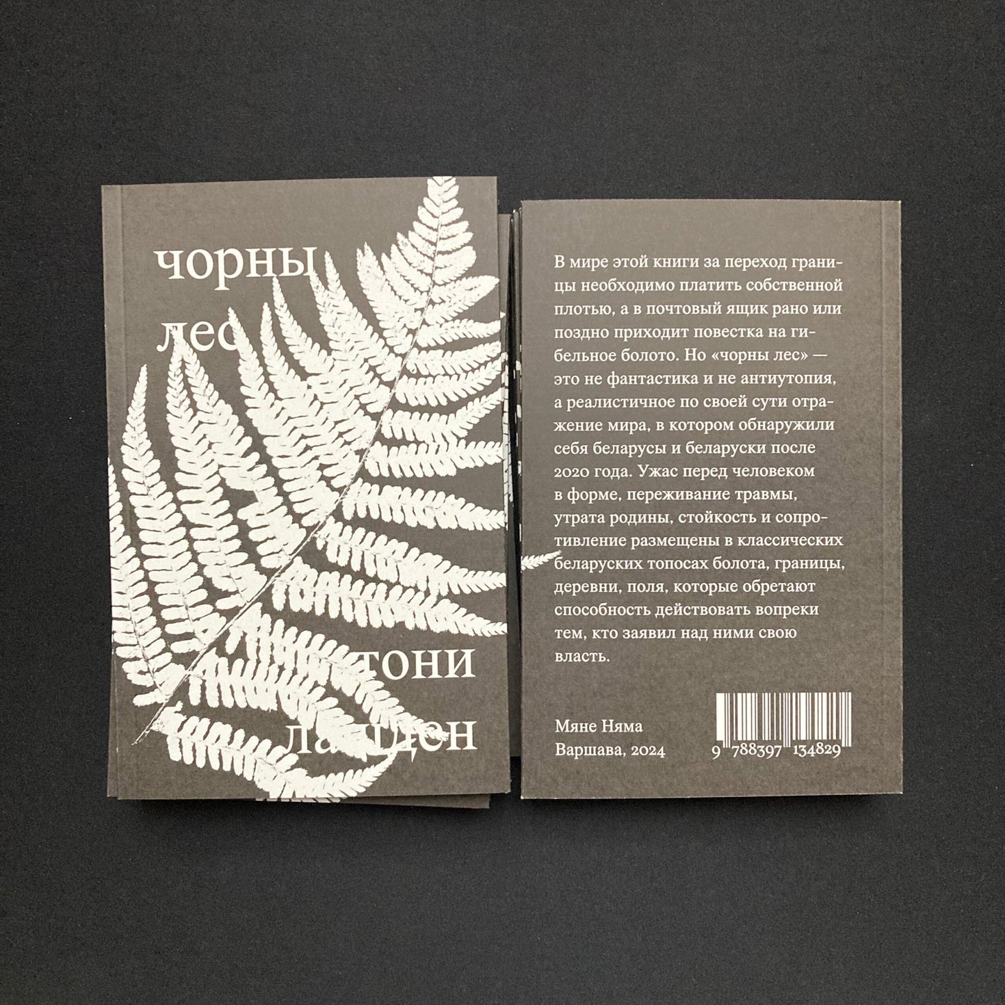 чорны лес