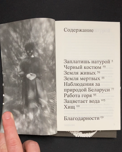 чорны лес