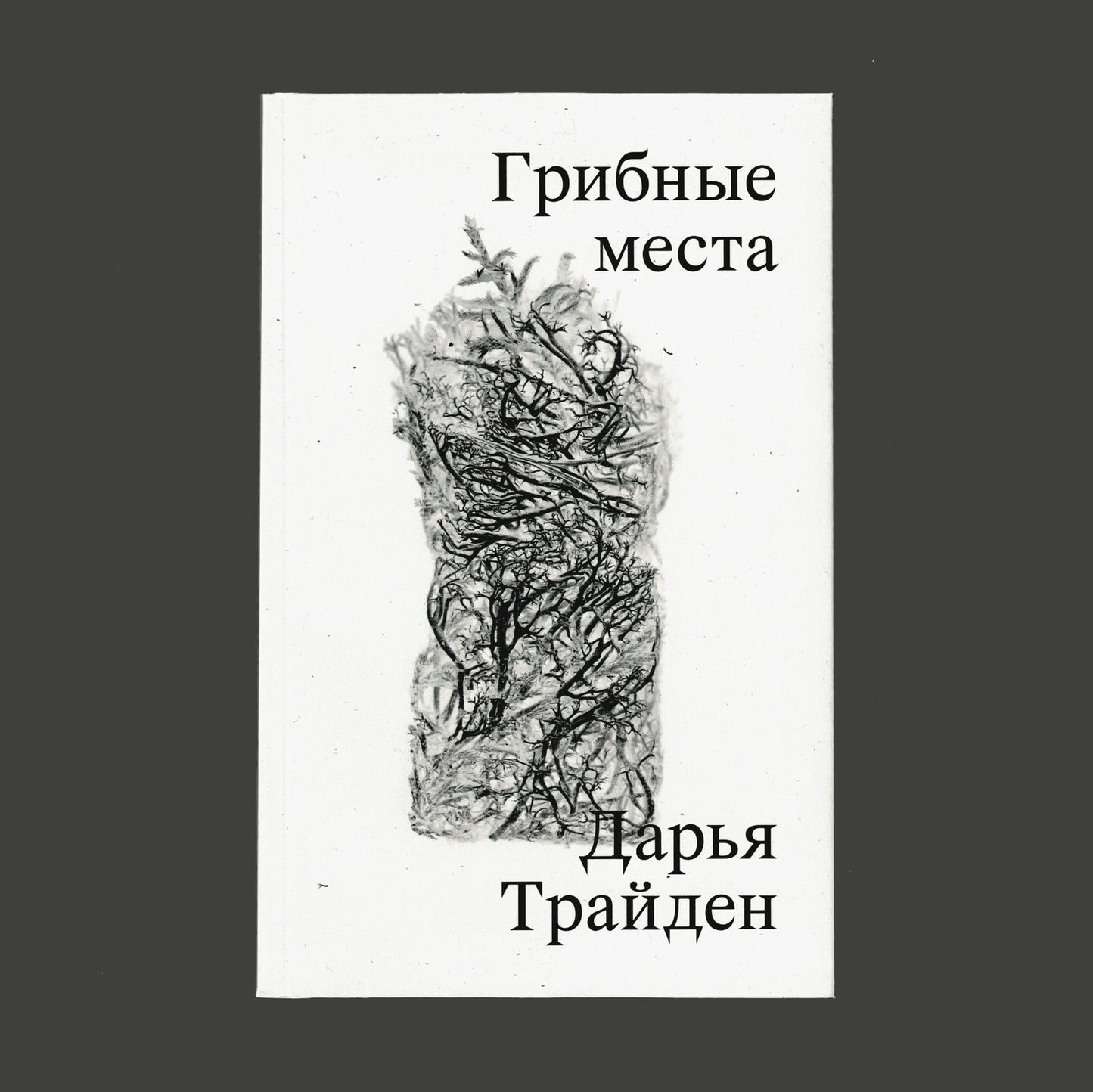 Грибные места