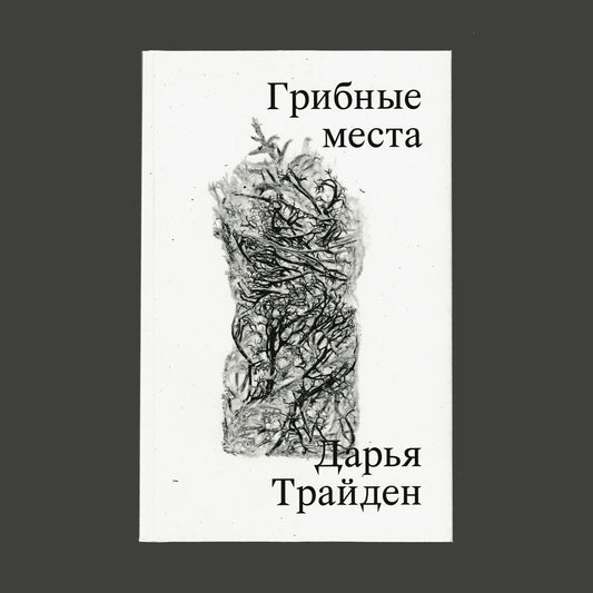 Грибные места