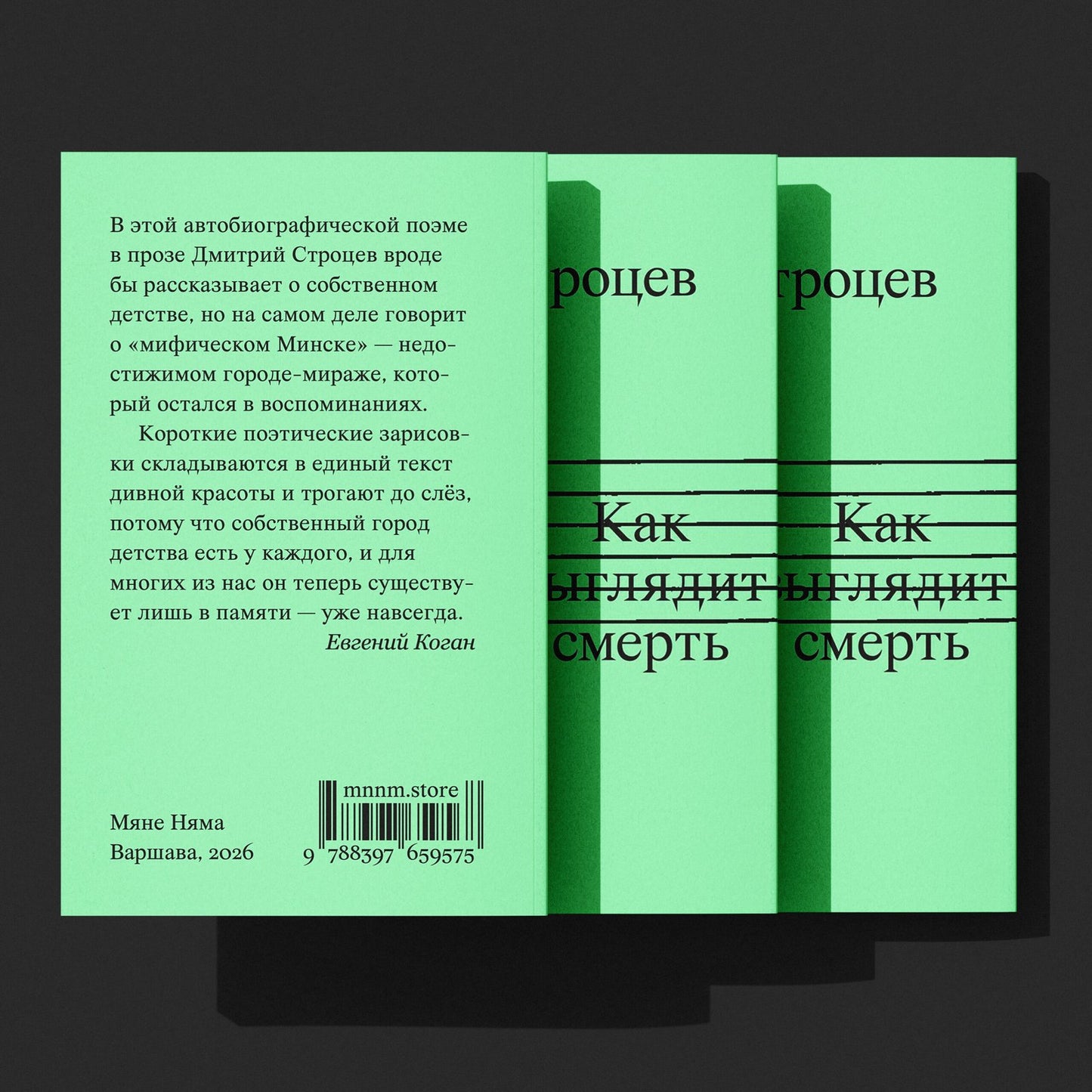 «Как выглядит смерть» — задняя обложка