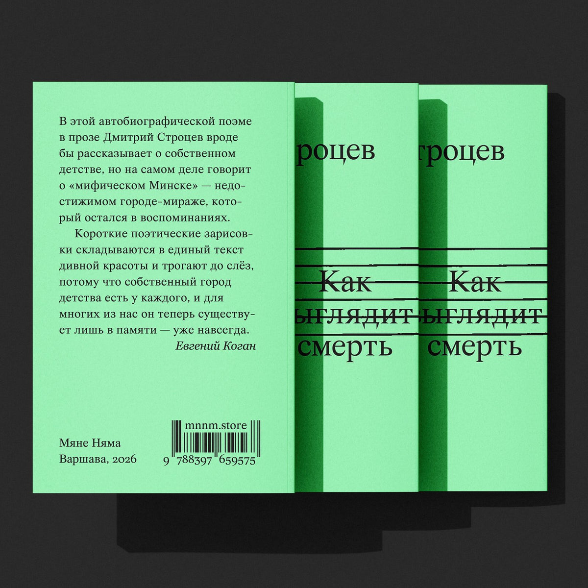 «Как выглядит смерть» — задняя обложка