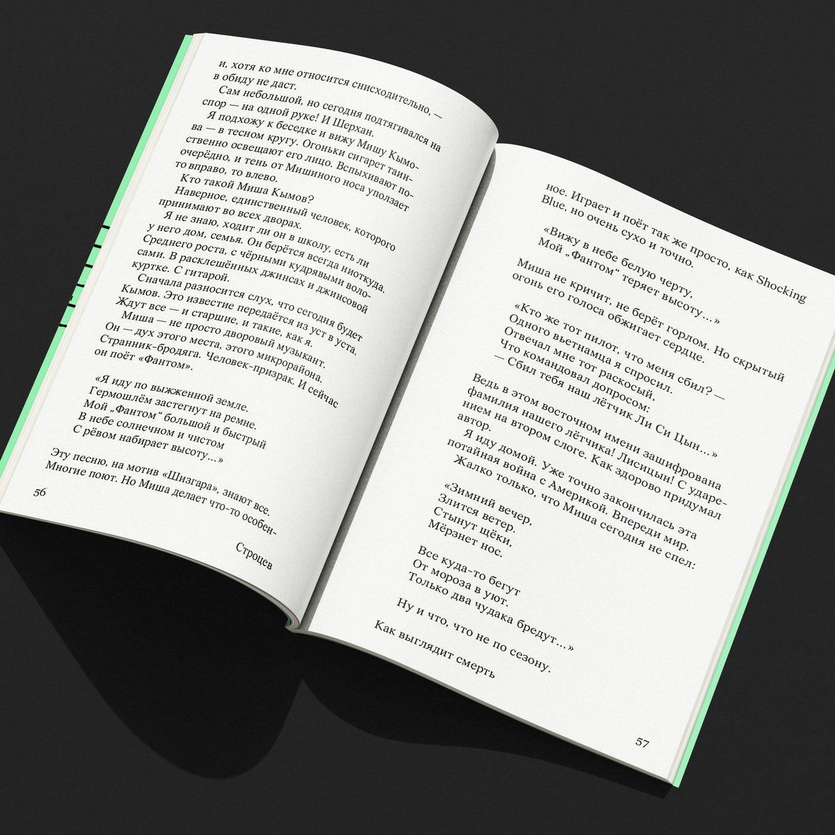 «Как выглядит смерть» — книга в руках
