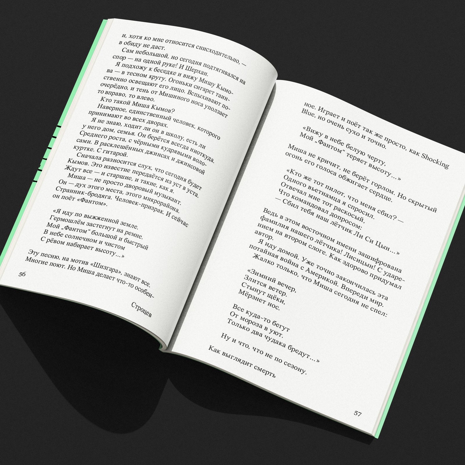 «Как выглядит смерть» — книга в руках
