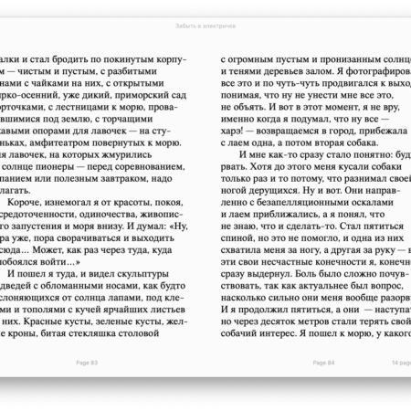 Забыть в электричке (EPUB) - Image 3
