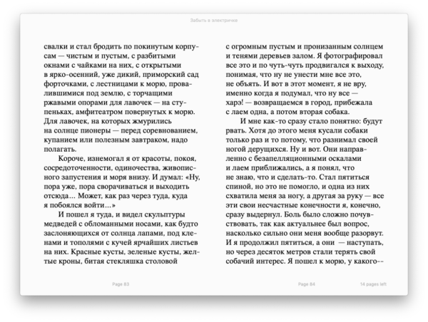 Забыть в электричке (EPUB) - Image 3