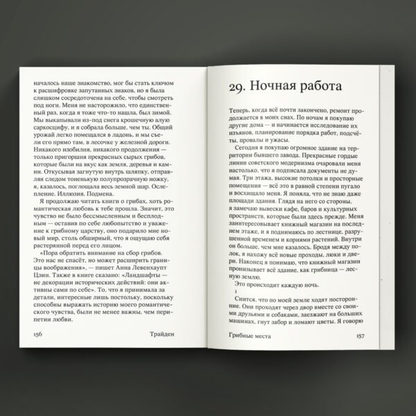 Грибные места - Image 3
