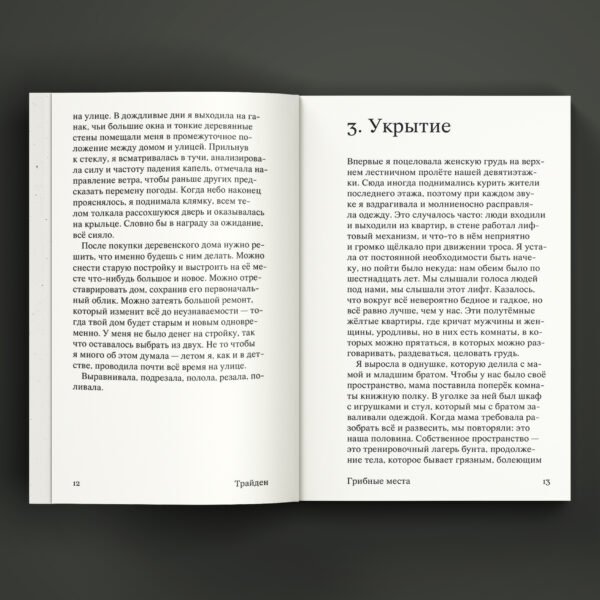 Грибные места - Image 4