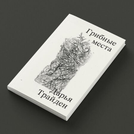Грибные места - Image 5