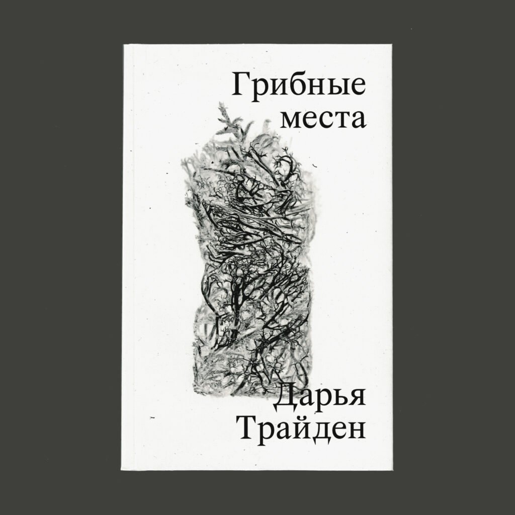Грибные места