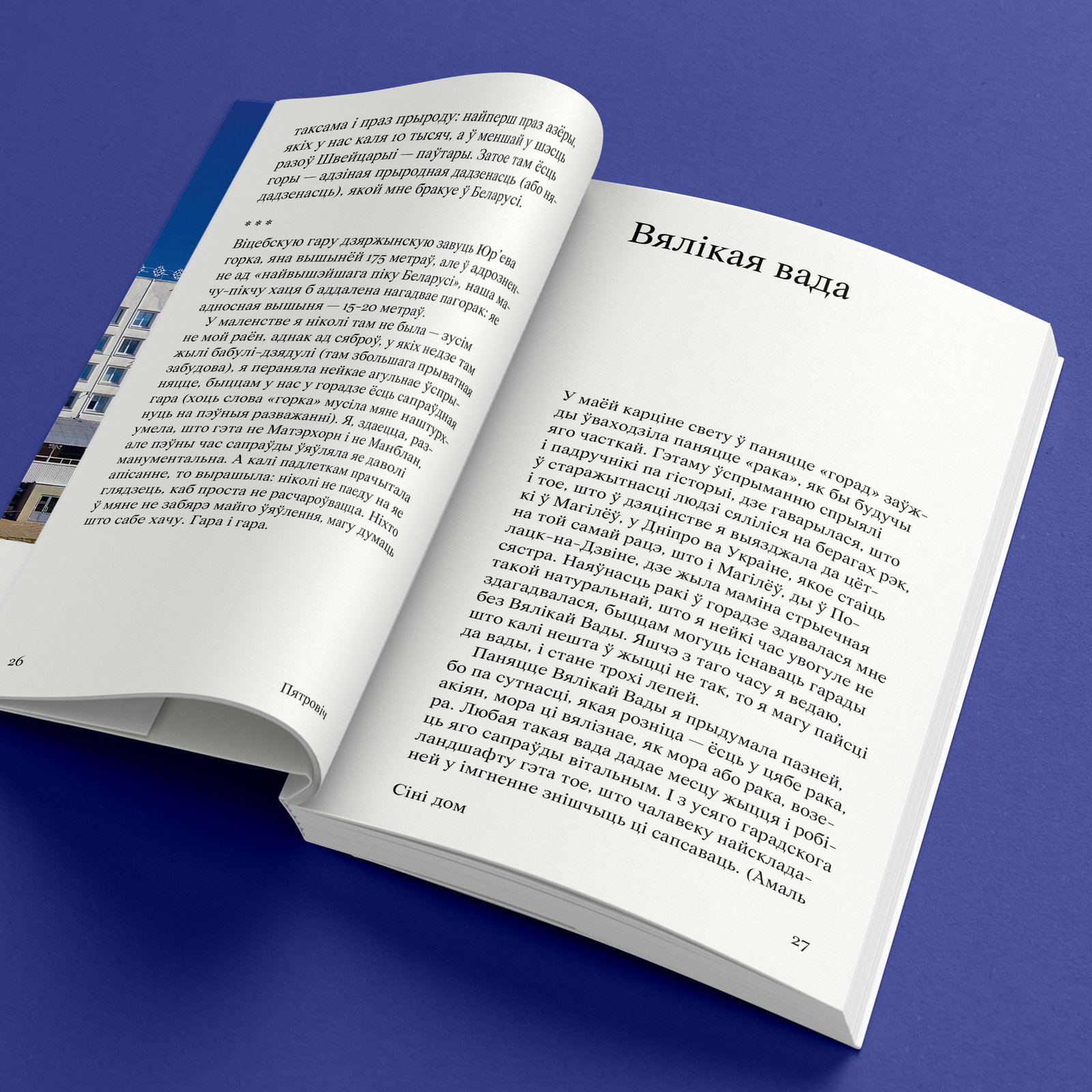 Сіні дом. Мая гісторыя Віцебска - Image 4