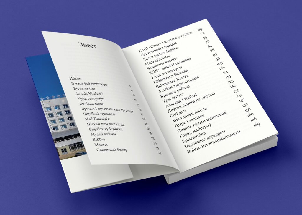 Змест кнігі Алены Пятровіч пра Віцебск "Сіні дом"